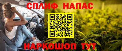 гидропоника Будённовск